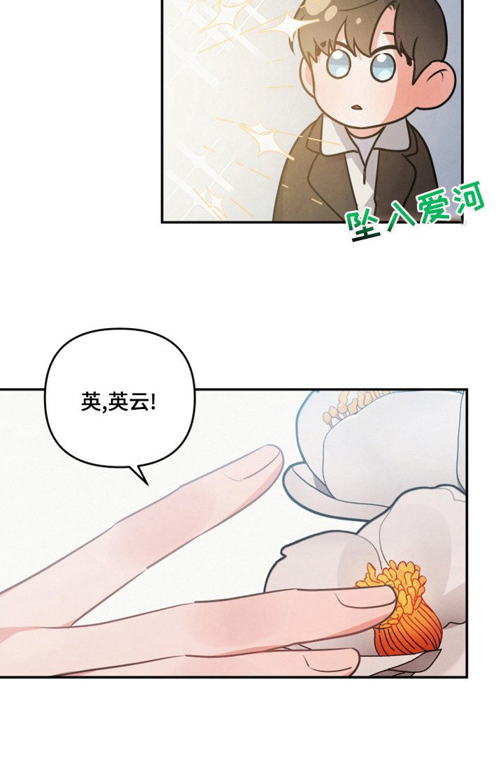 第60章：山茶花