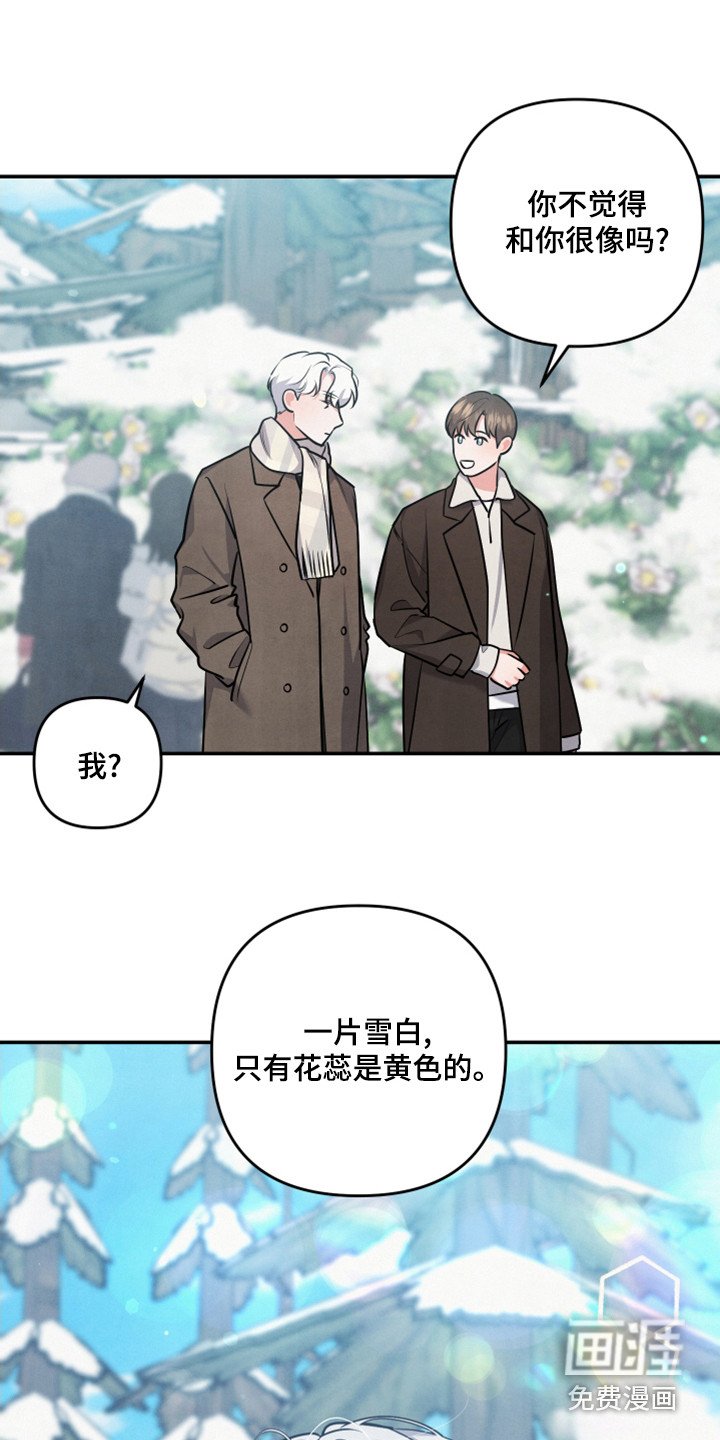 第60章：山茶花