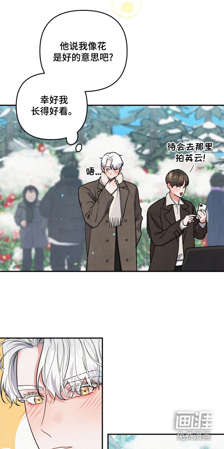 第60章：山茶花