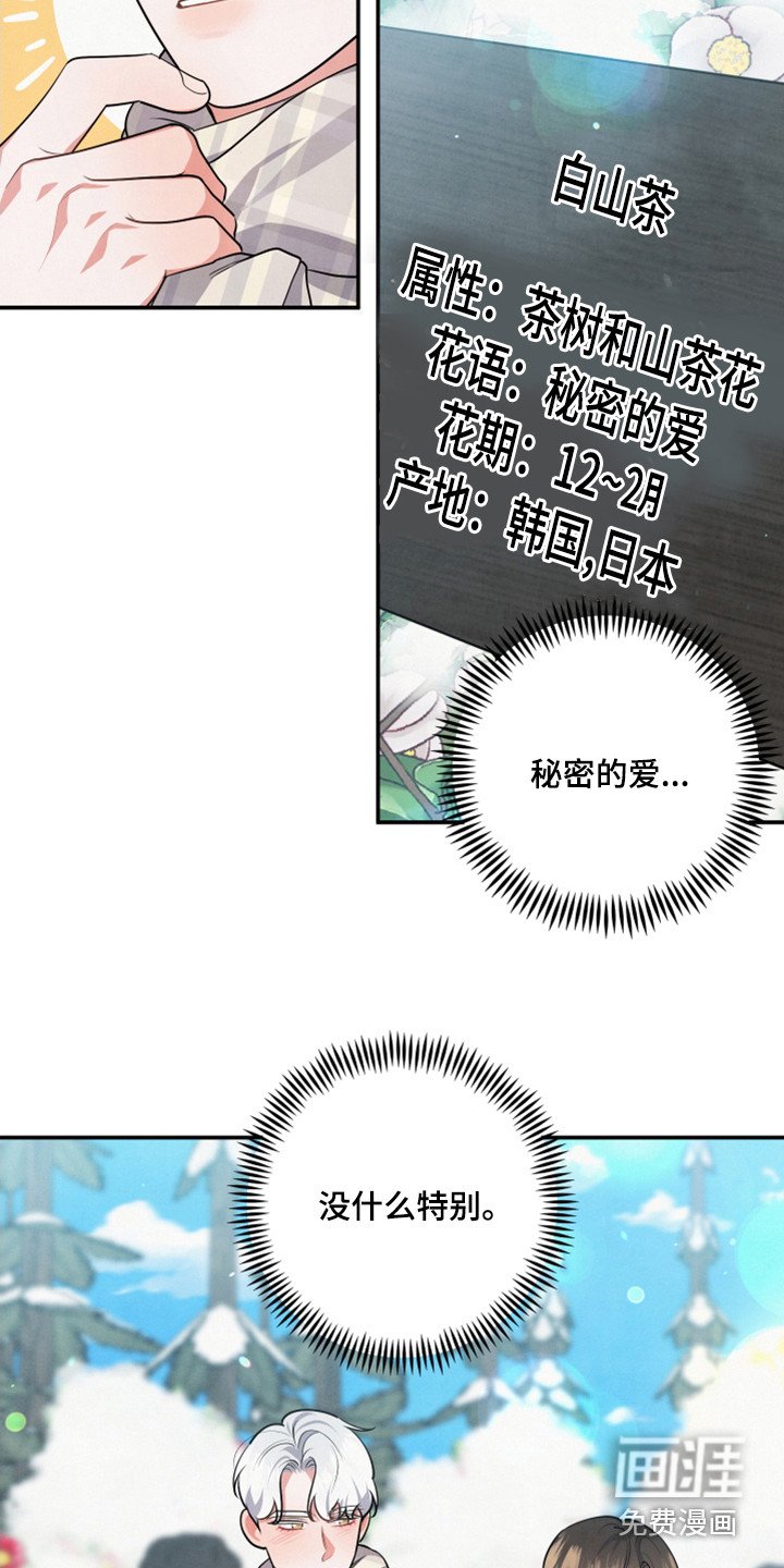 第60章：山茶花