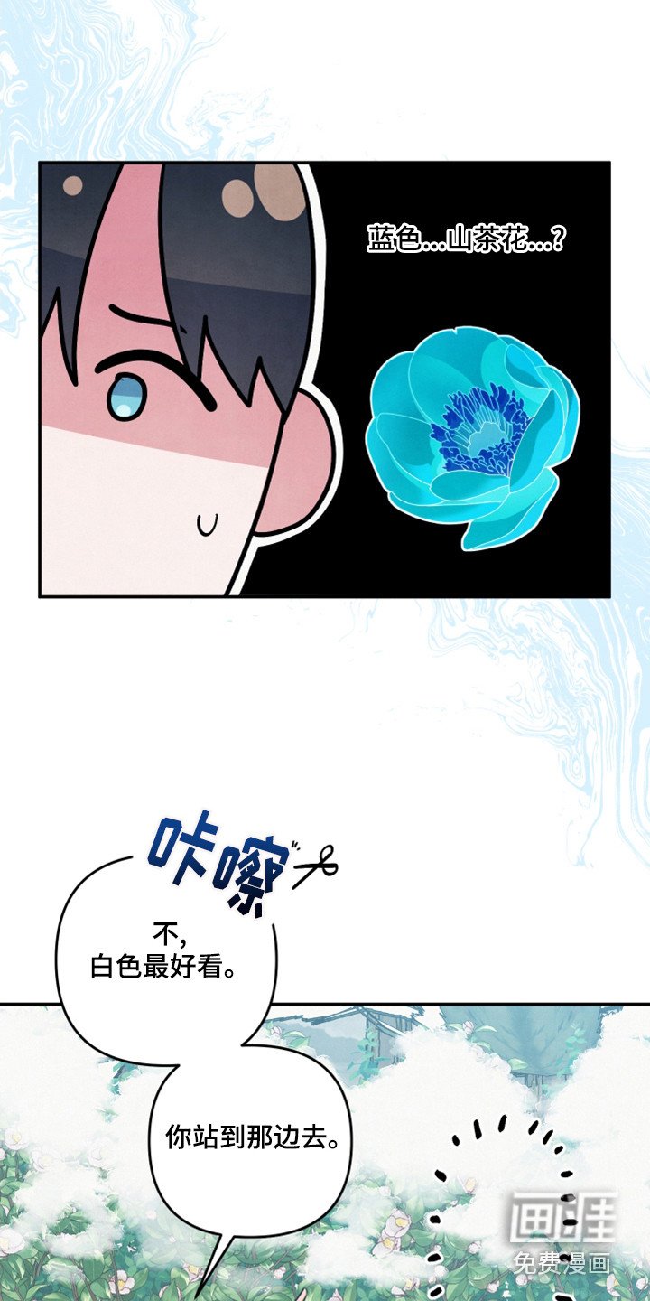 第60章：山茶花