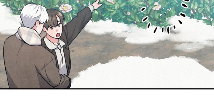 第60章：山茶花