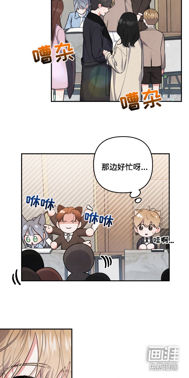 第63章：【第一季完结】婚礼