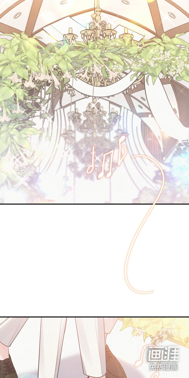 第63章：【第一季完结】婚礼
