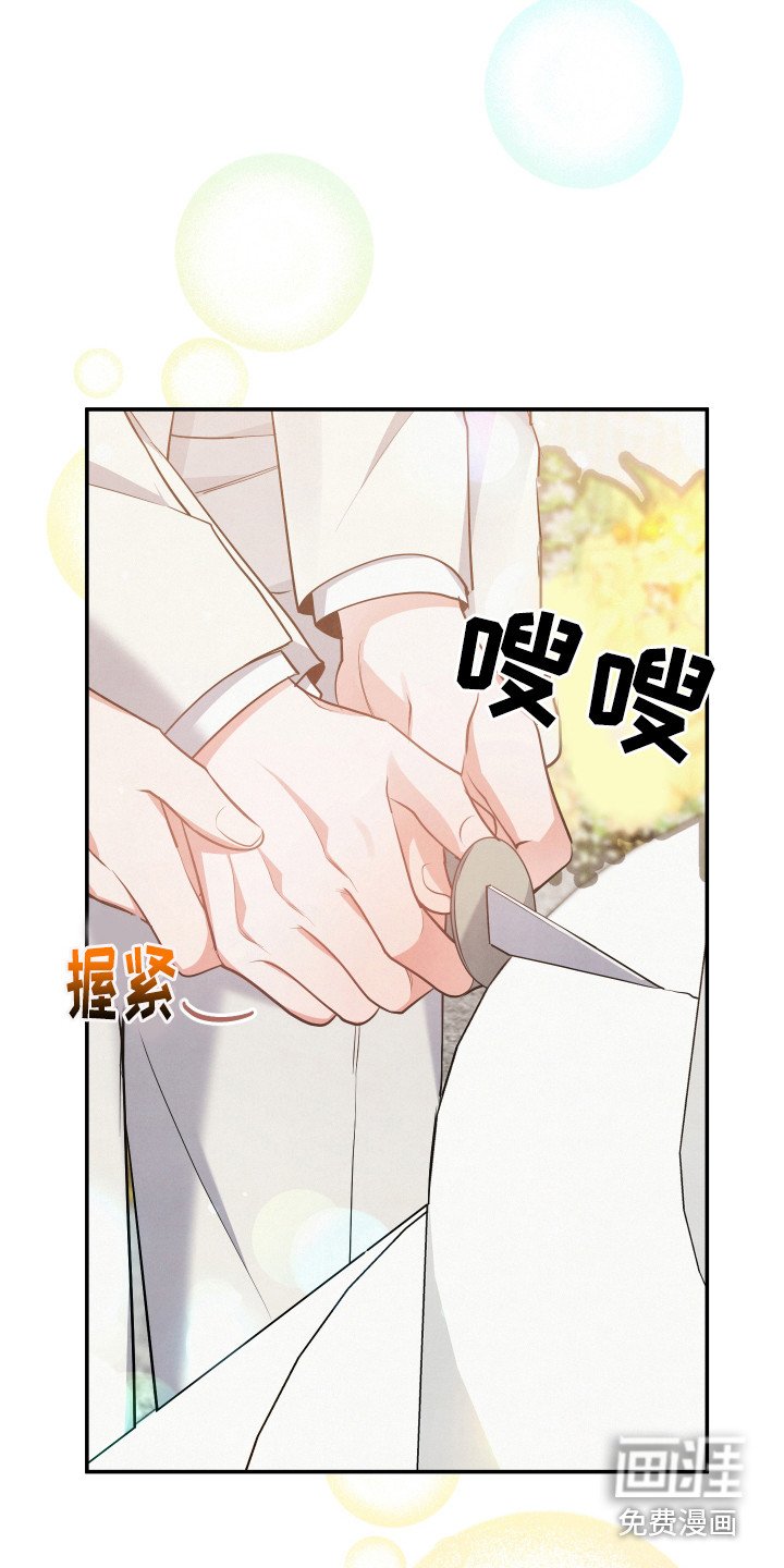 第63章：【第一季完结】婚礼