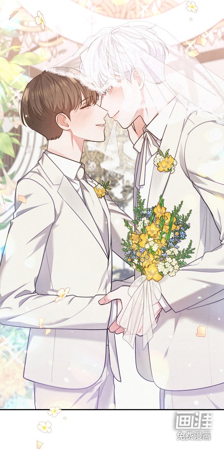 第63章：【第一季完结】婚礼