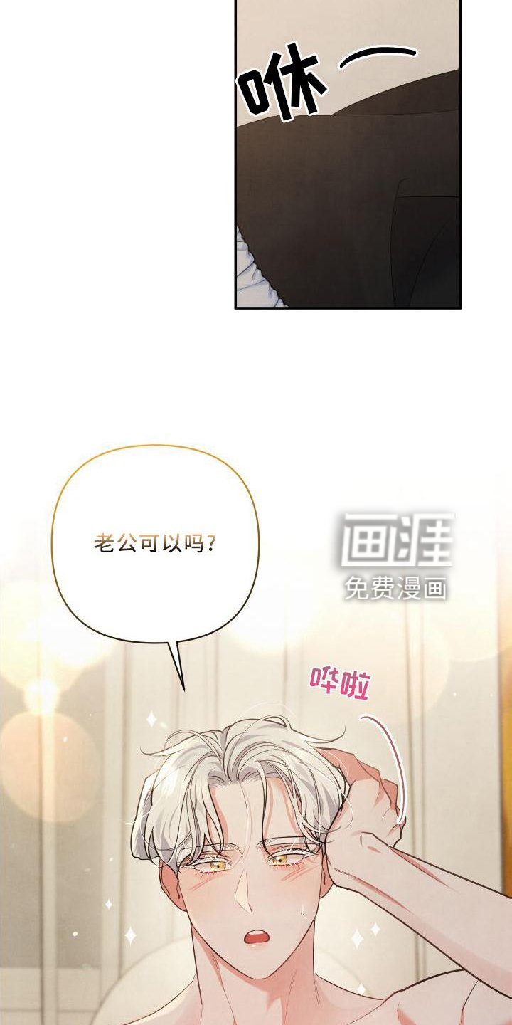 第66章：【番外】圣诞快乐