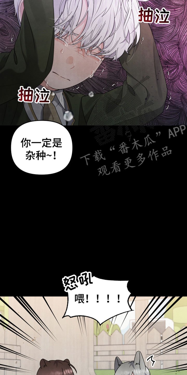 第7章：曾经