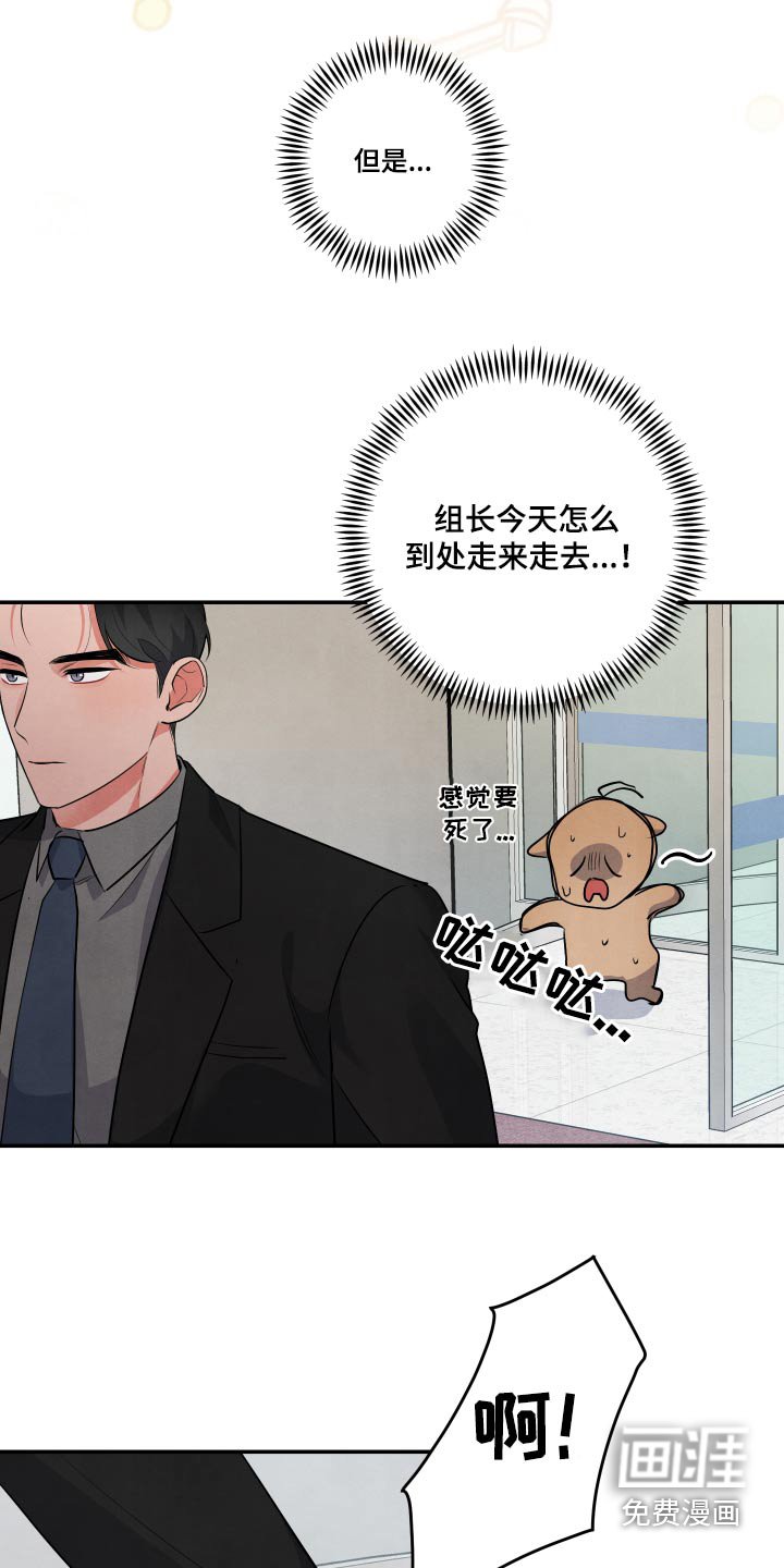 第70章：【第二季】好喜欢他
