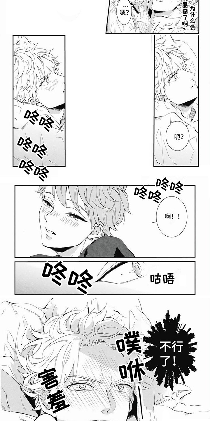 第3章：照片