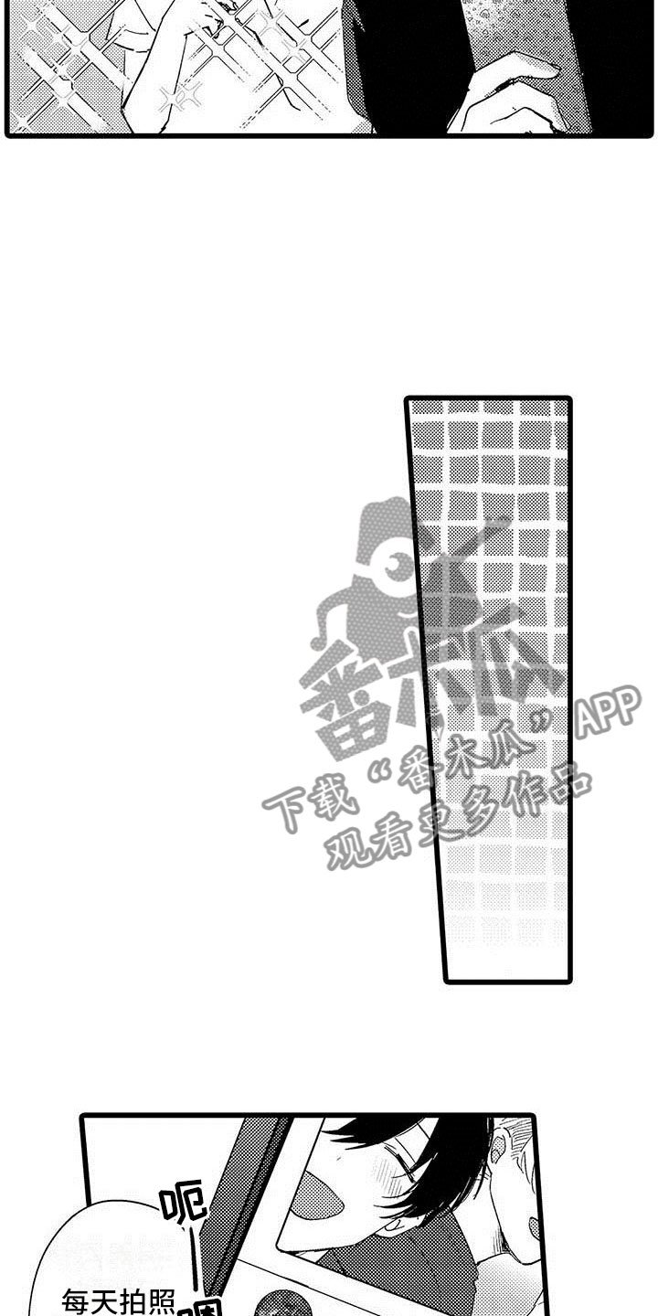 第8章：网络宣传