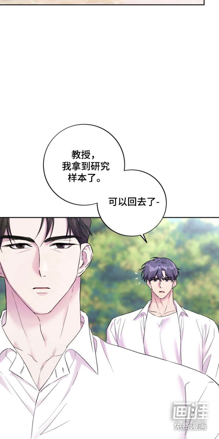 第13章：【番外】记忆大海