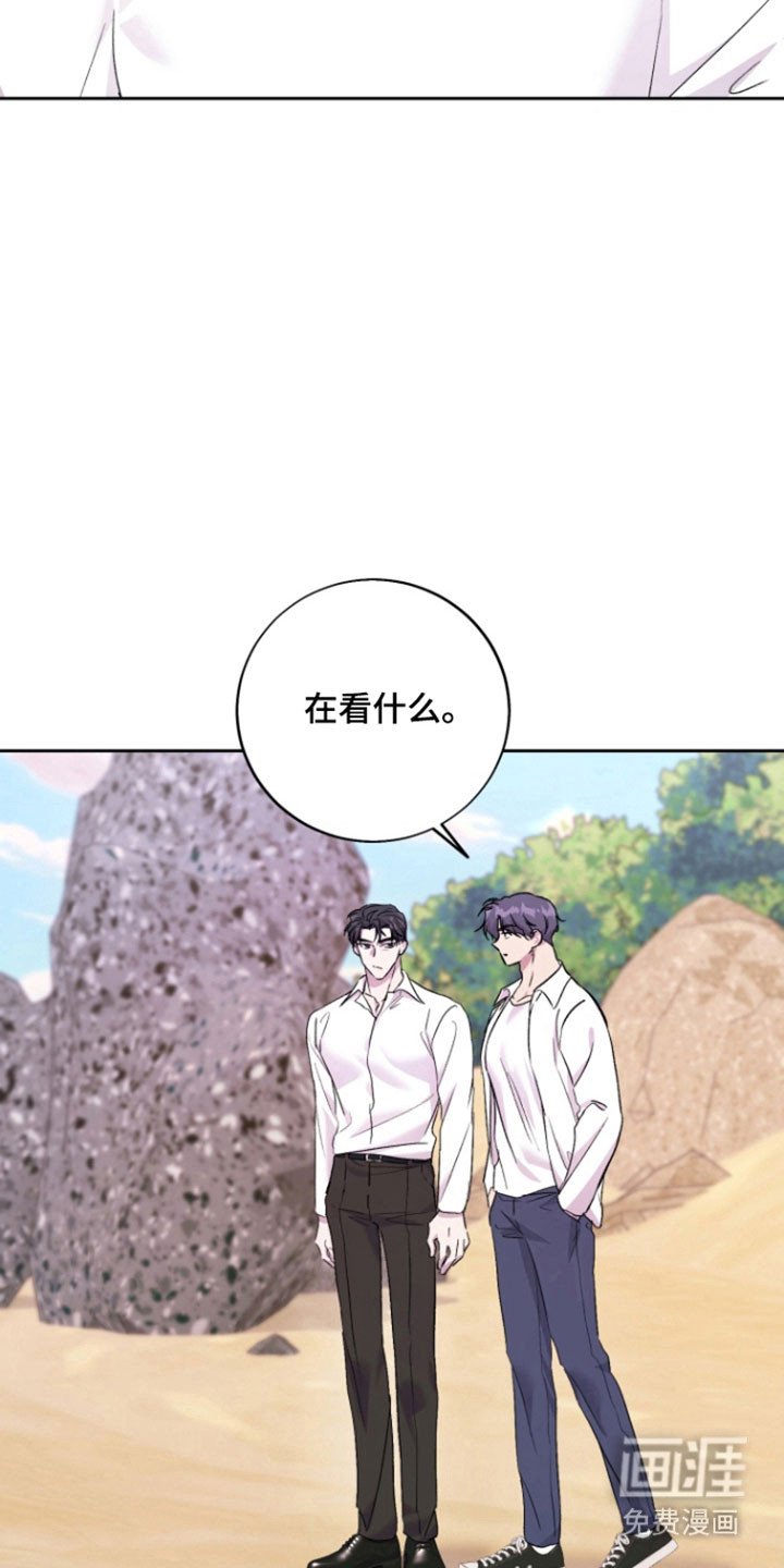 第13章：【番外】记忆大海