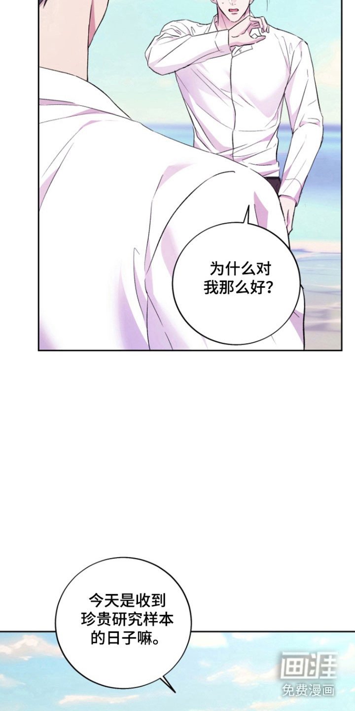 第13章：【番外】记忆大海