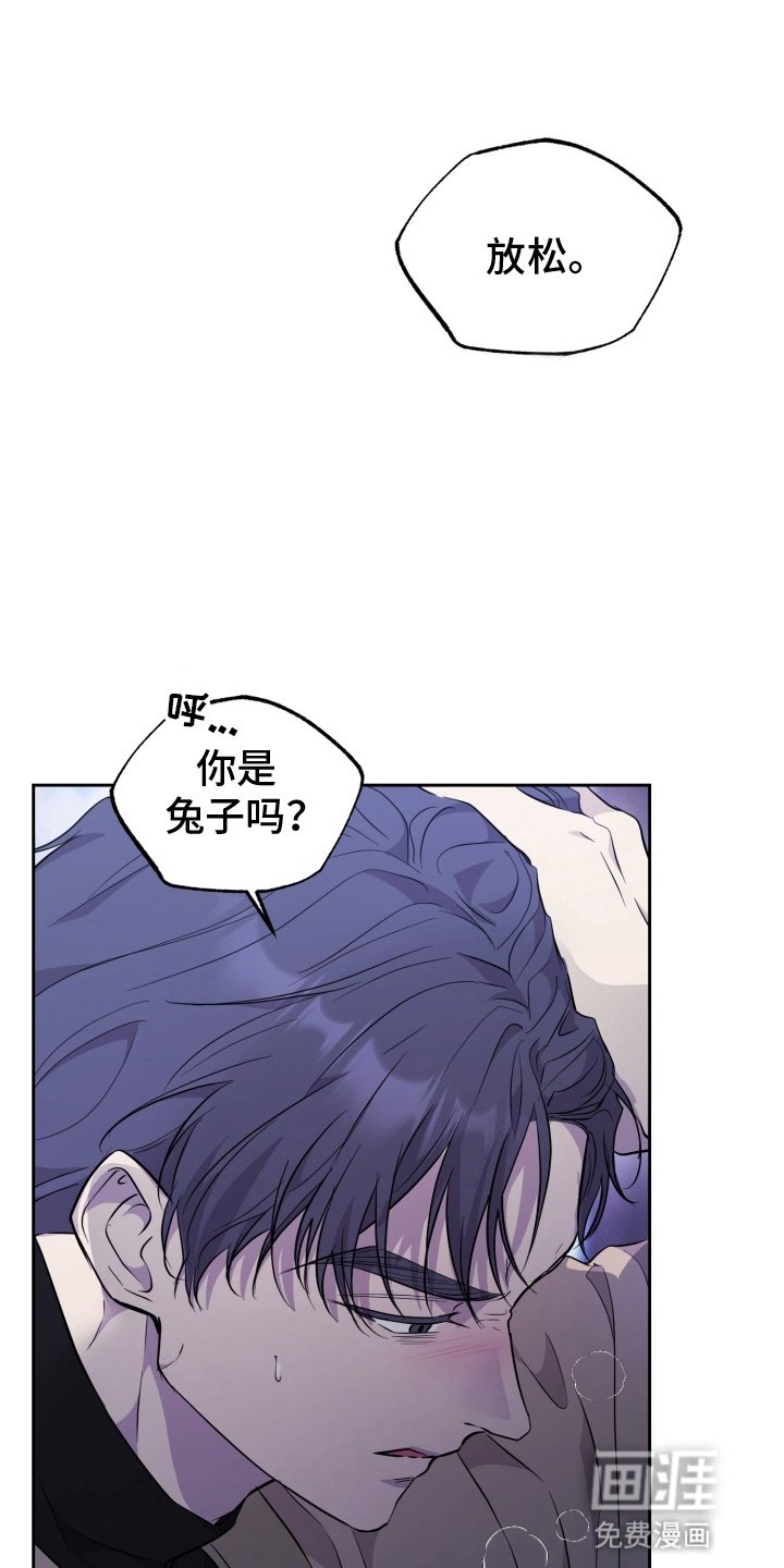 第5章：没有选择权