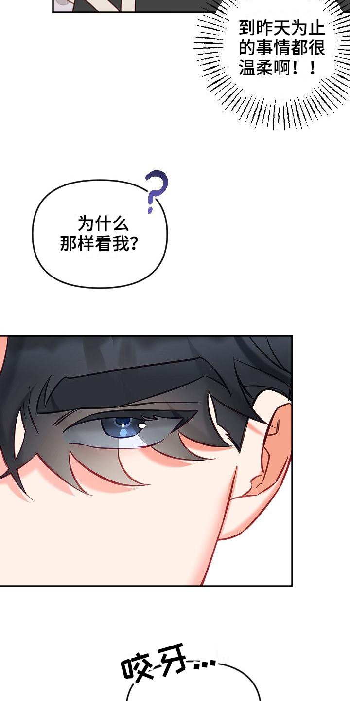 第13章：暗示