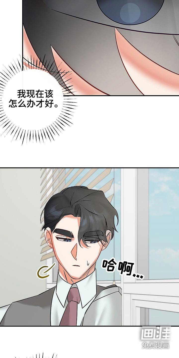 第44章：我们
