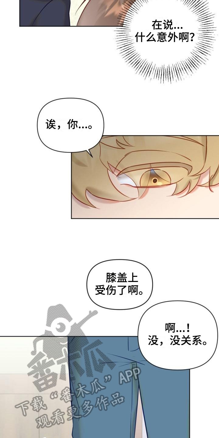 第6章：说明