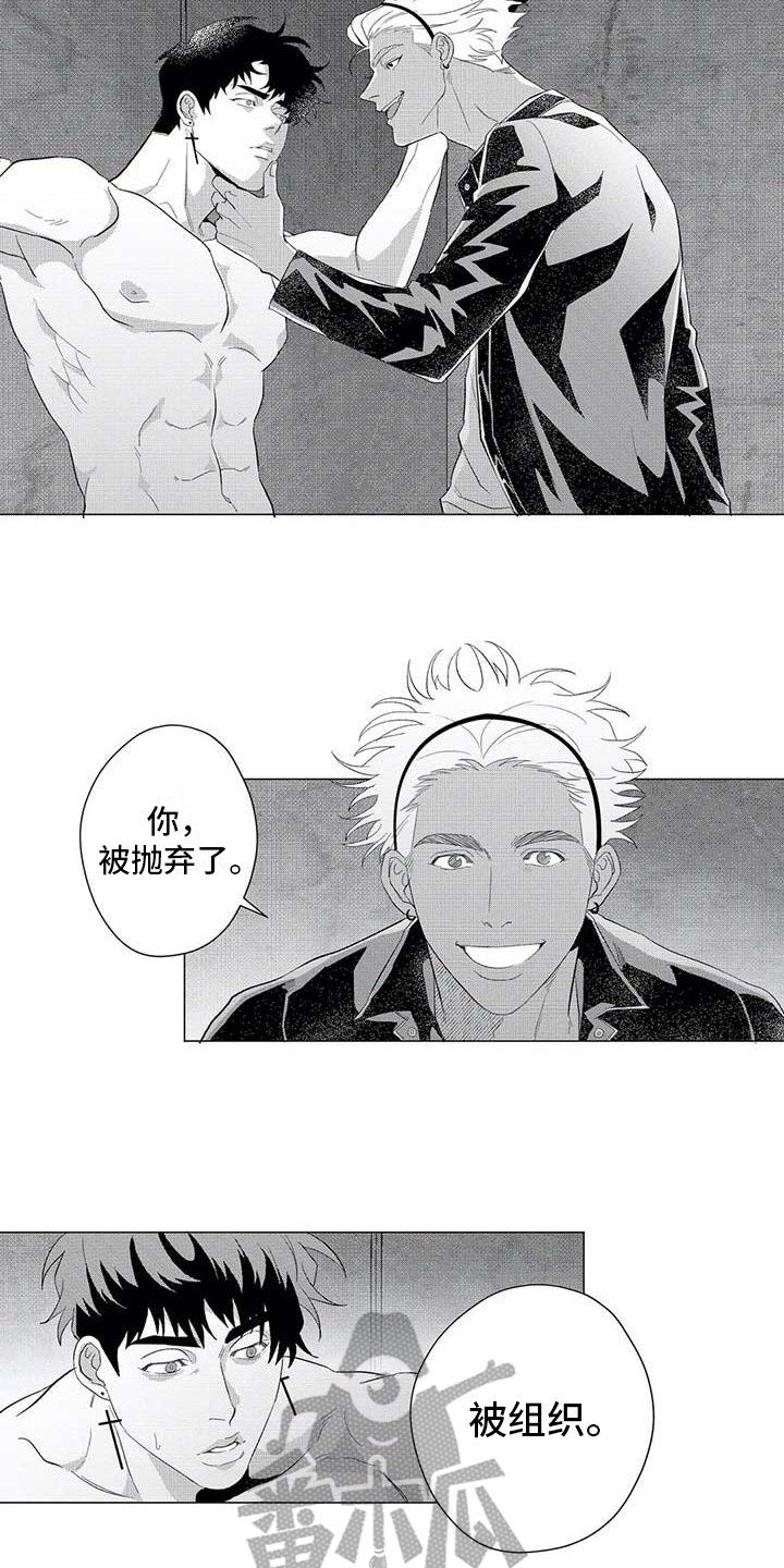 第16章：绑架