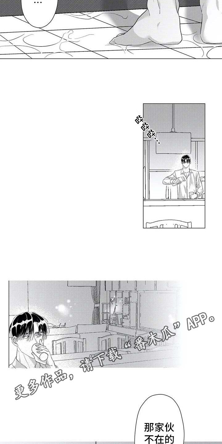第18章：消失了