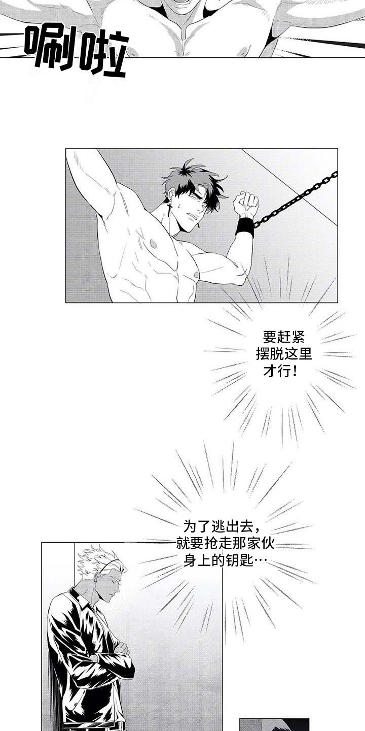 第18章：消失了