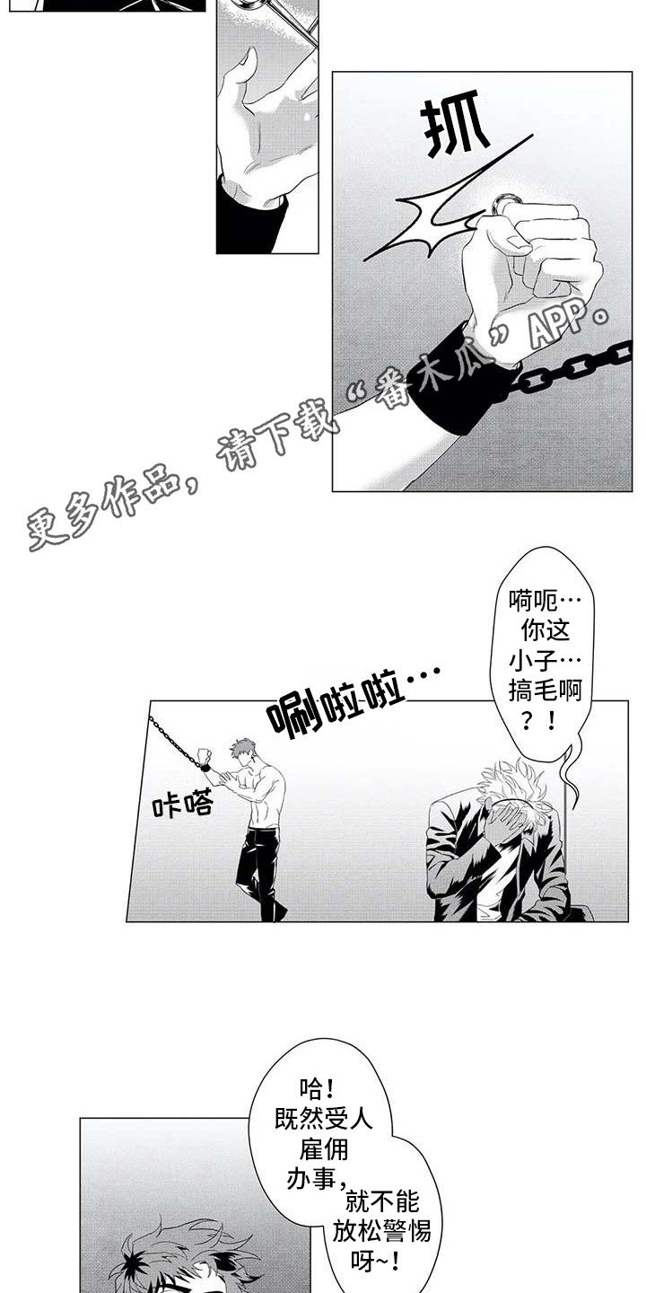第19章：挣脱