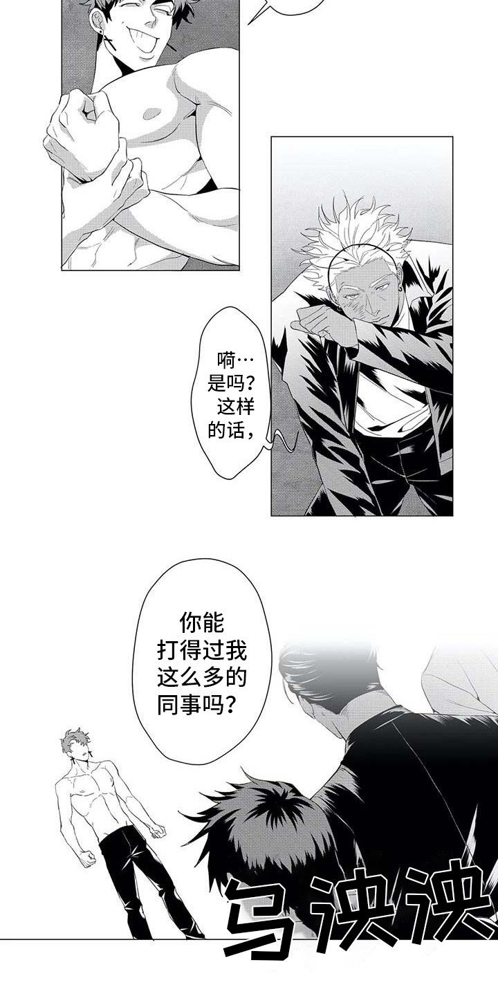 第19章：挣脱