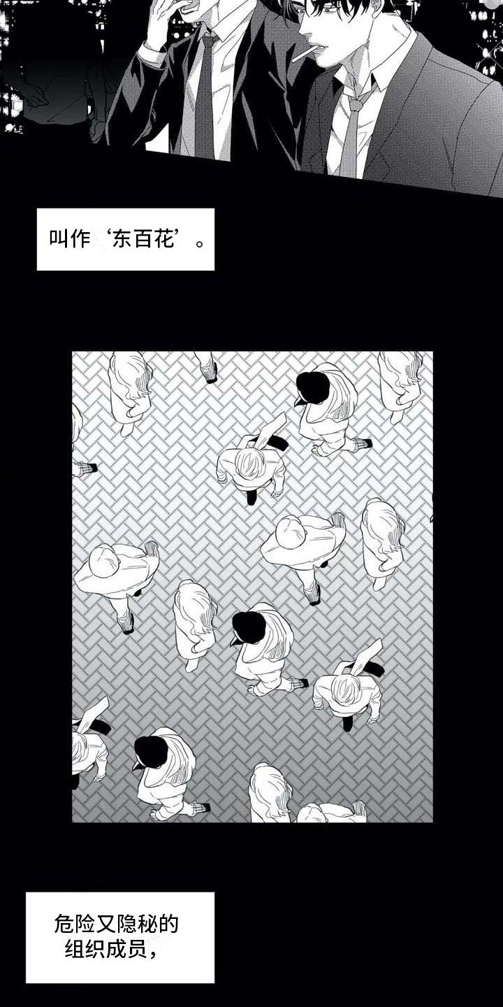 第2章：隐秘集团