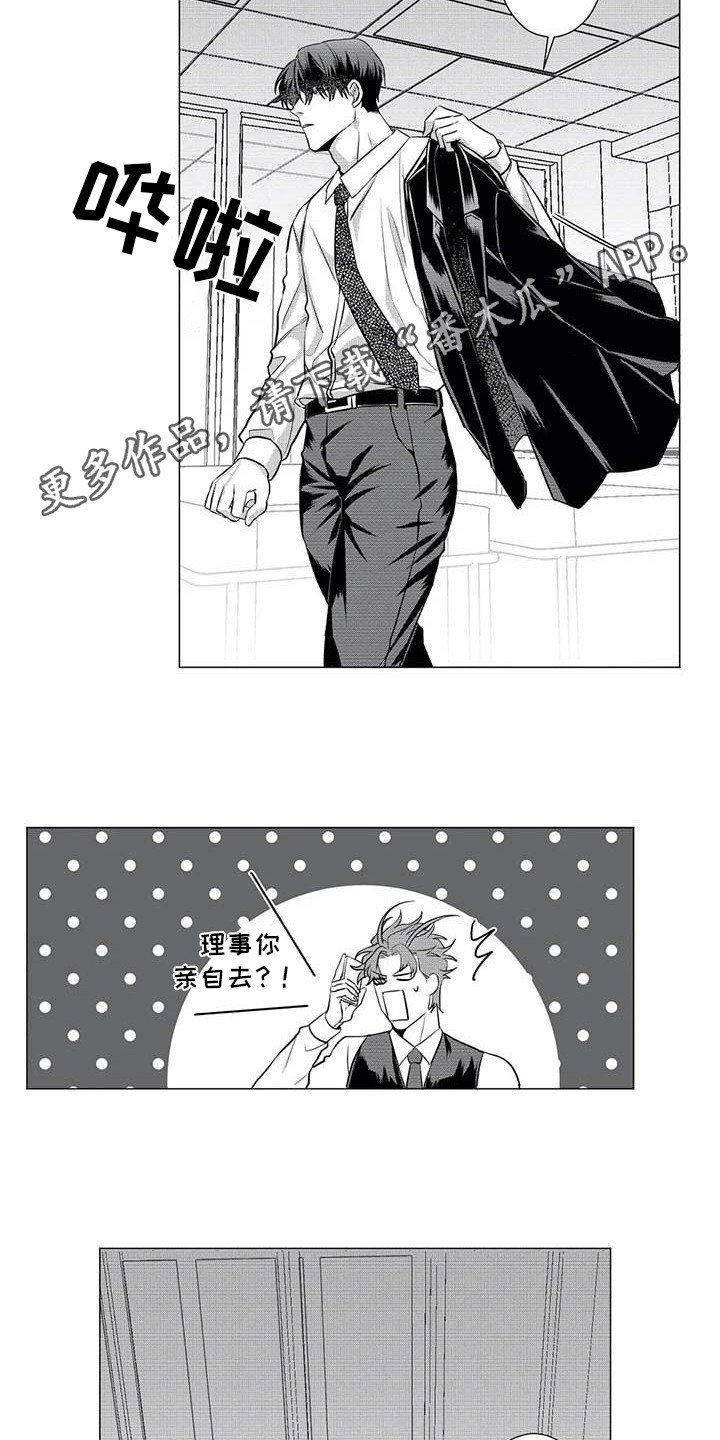 第21章：寻找