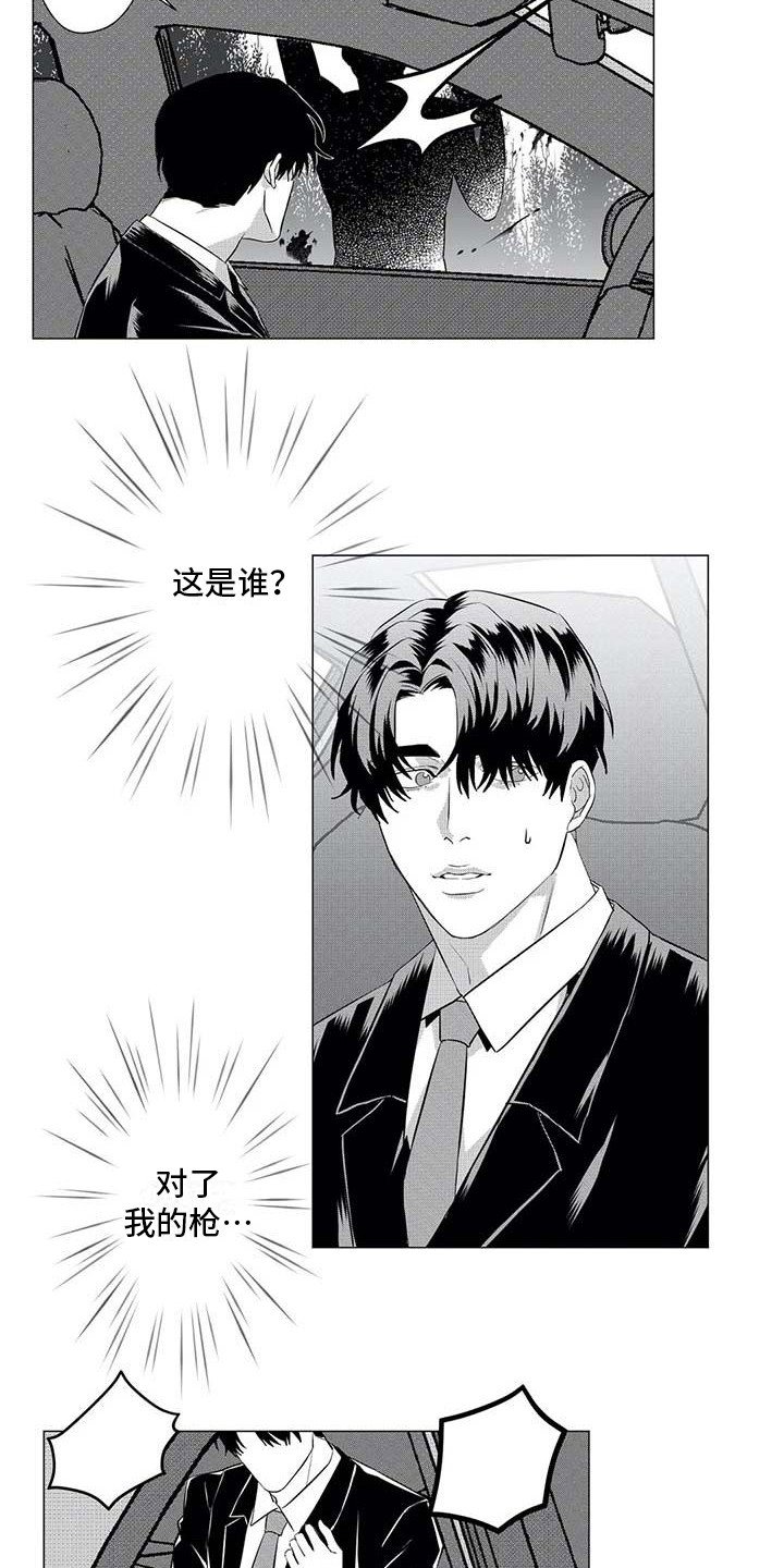 第21章：寻找