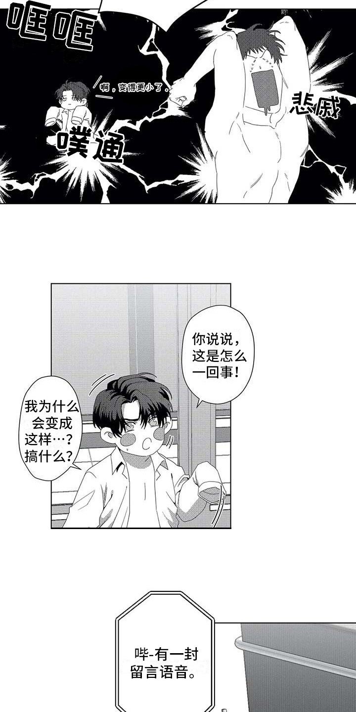 第5章：变小了