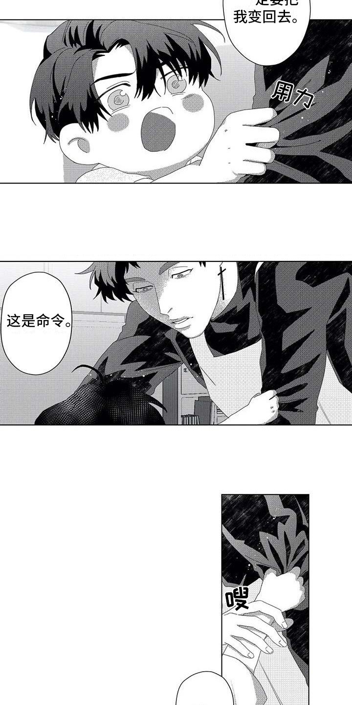 第6章：很可爱
