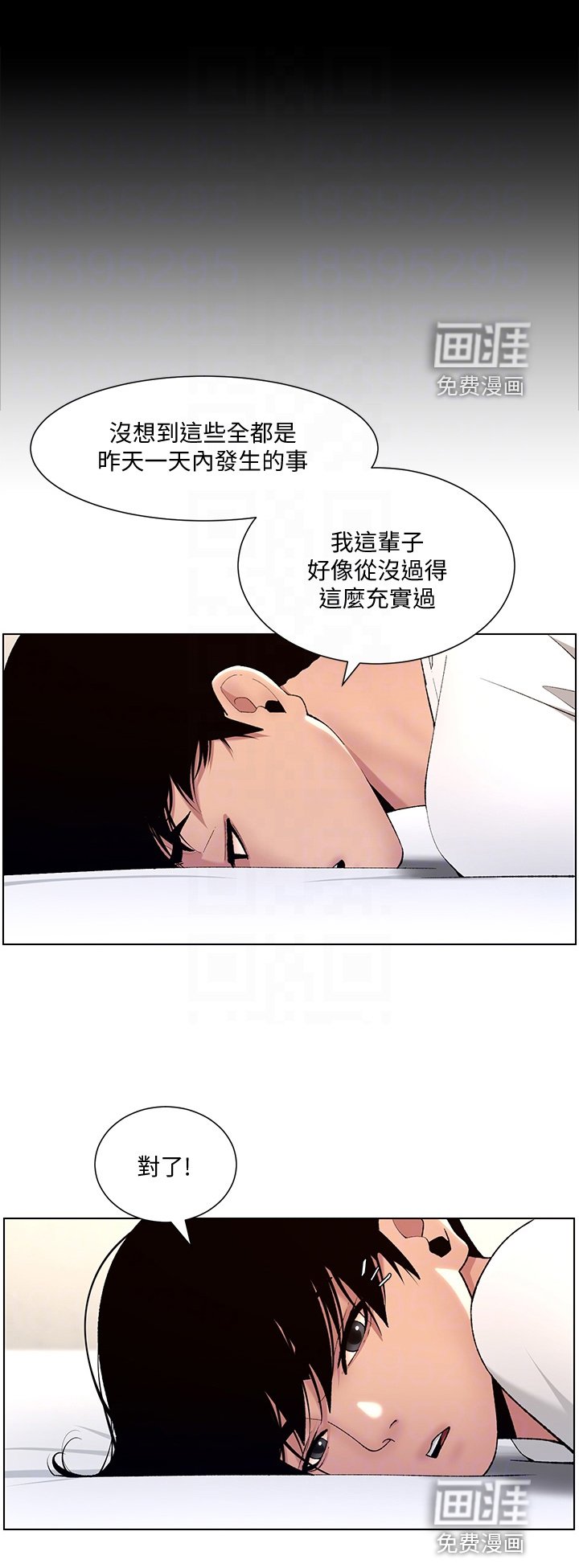 第17章：查看