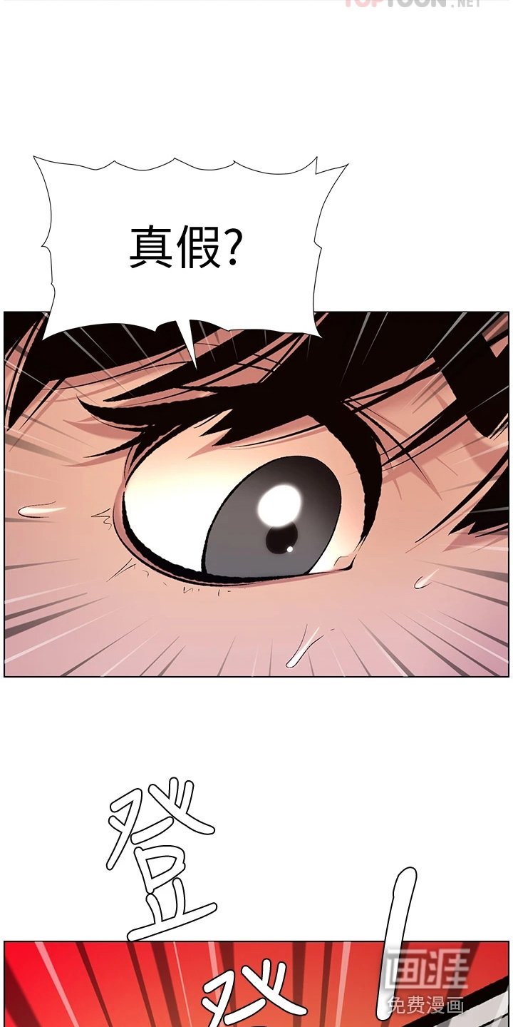第17章：查看