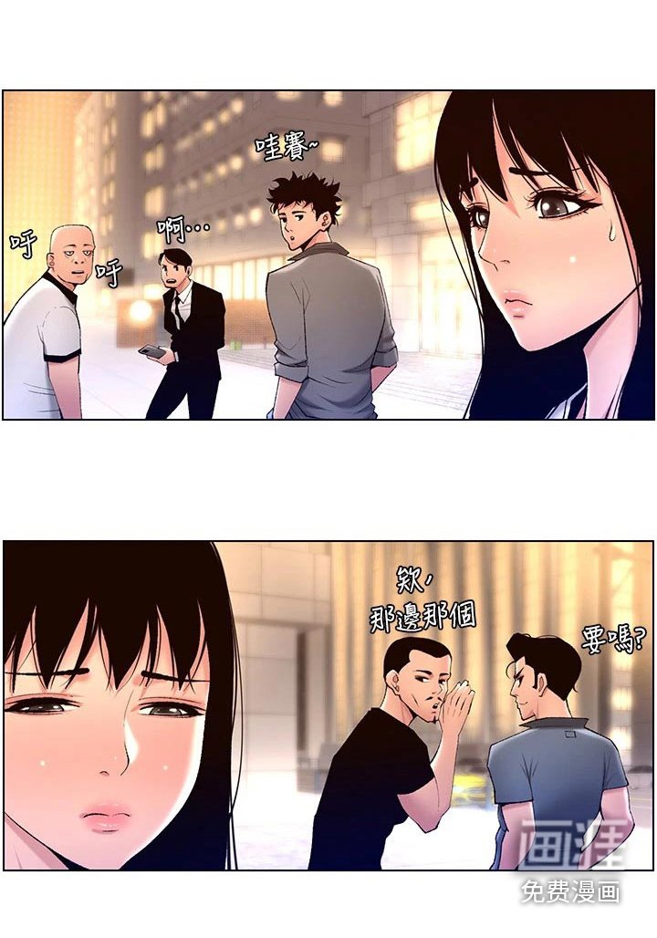 第33章：正式开始
