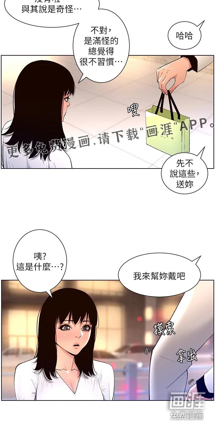第33章：正式开始