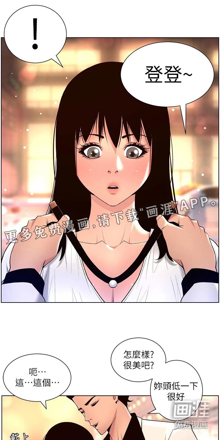 第33章：正式开始