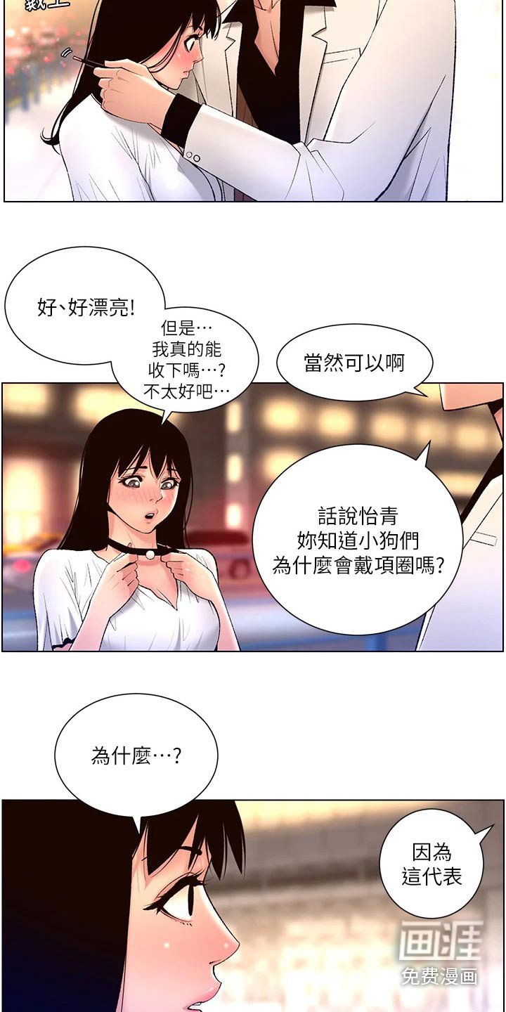 第33章：正式开始