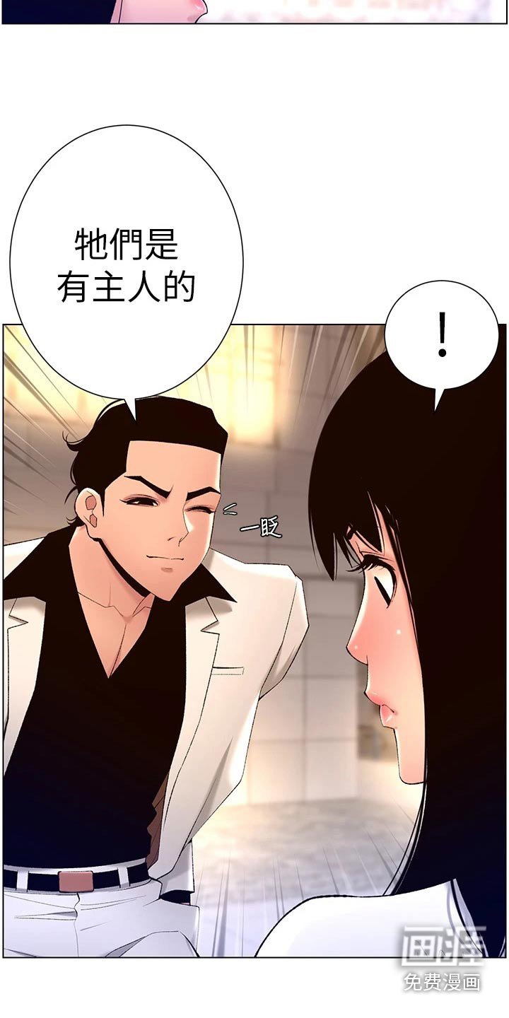 第33章：正式开始