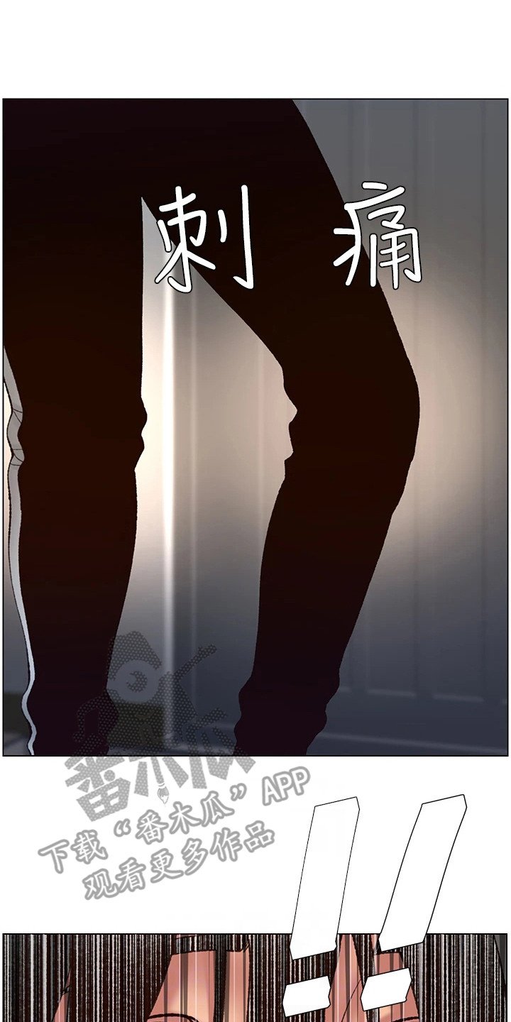 第4章：强化外观