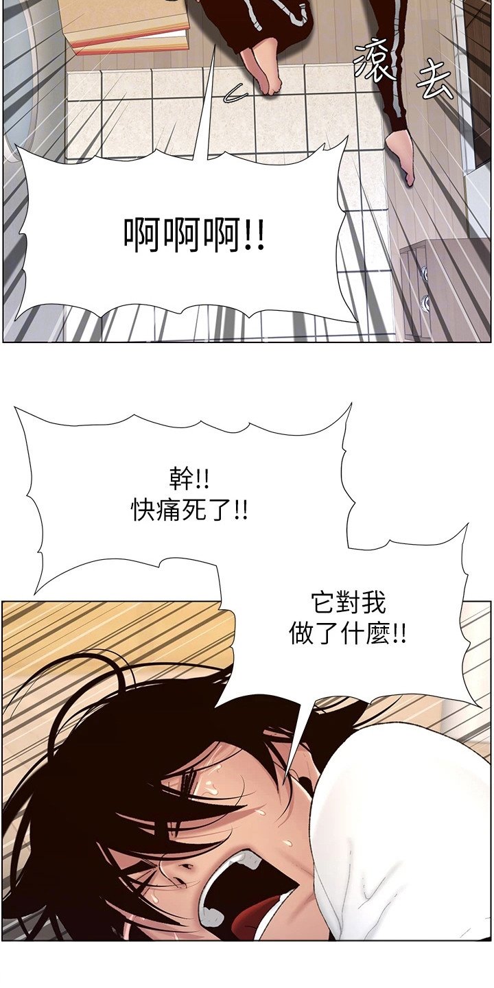 第4章：强化外观