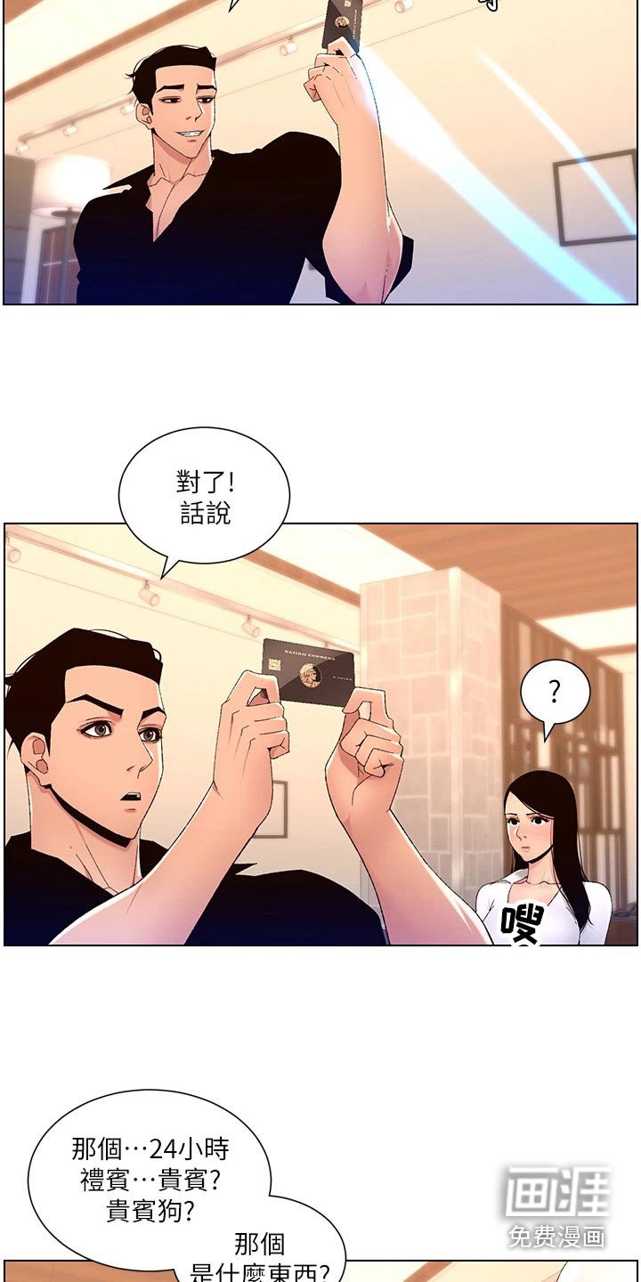 第41章：完美