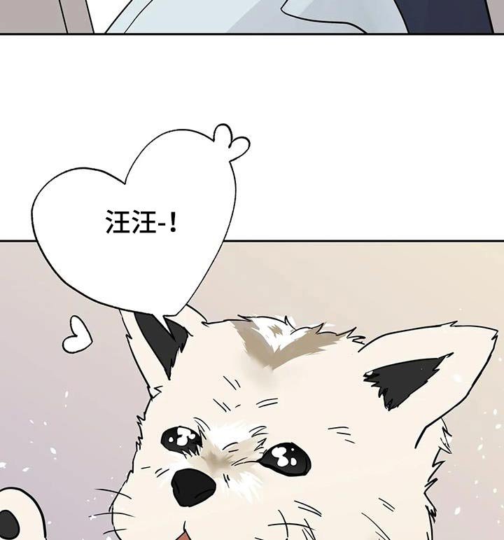 第100章：【第三季】要回去
