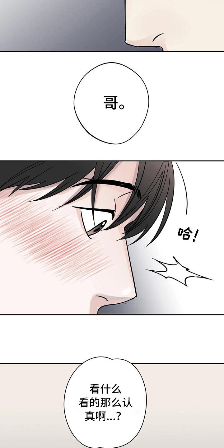 第12章：盯着看