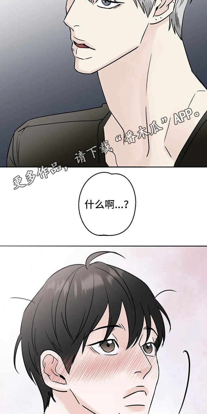 第12章：盯着看