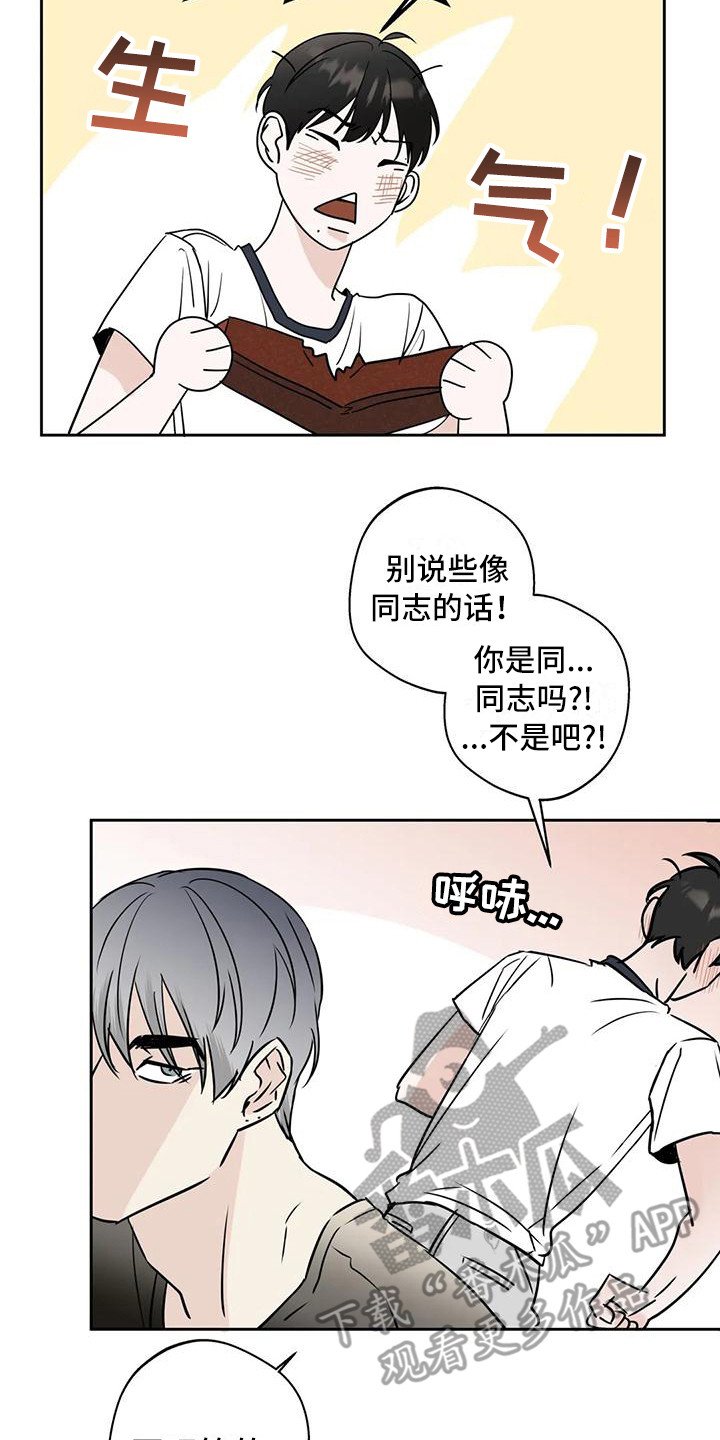 第12章：盯着看