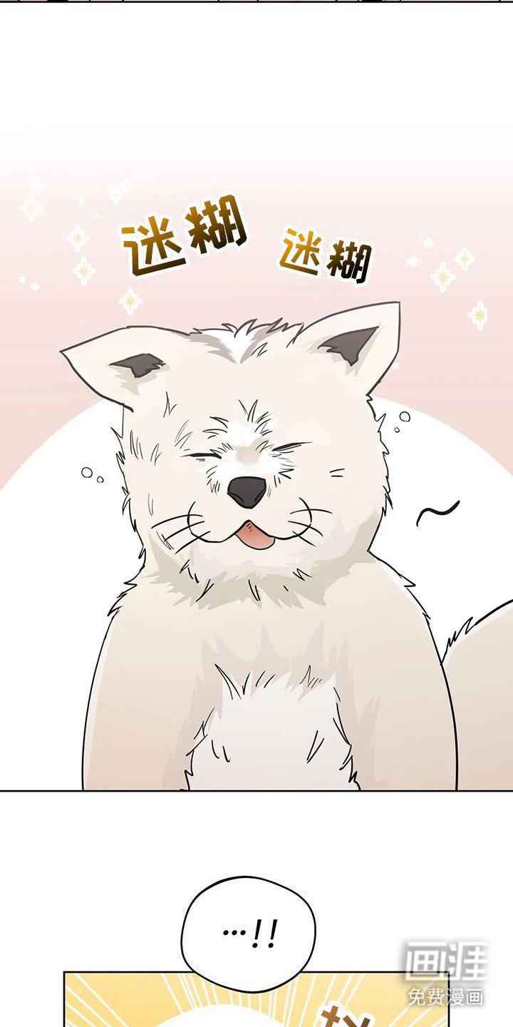 第120章：【第三季】我想你