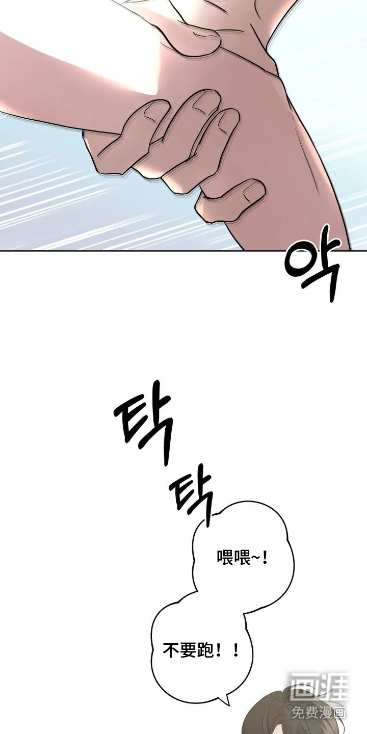 第139章：【第四季】举行婚礼