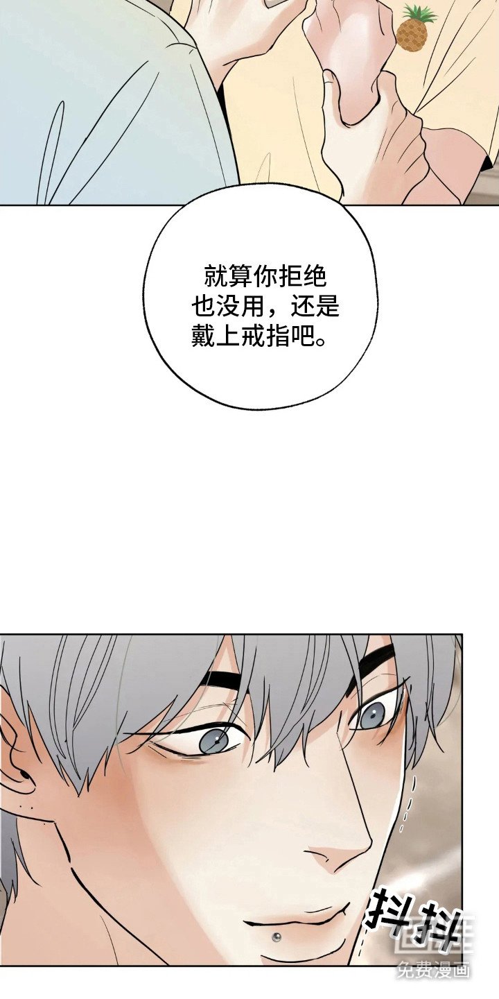 第141章：【第四季】婚后责任