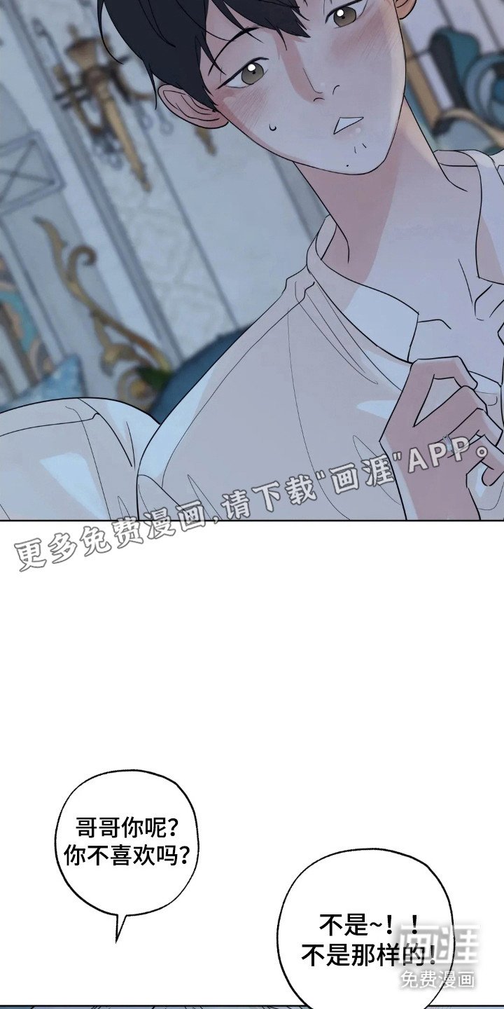第142章：【第四季】规划未来